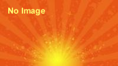 フィリピンフェスティバル バリヨ・フィエスタ2013