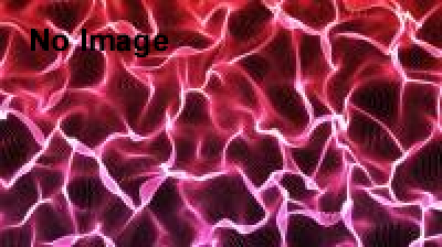 うどん天下一決定戦2015