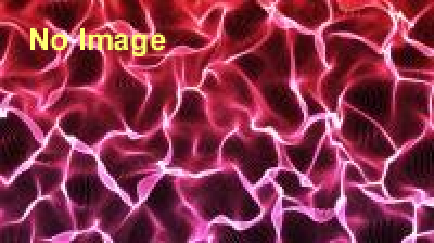 ハイスクールマンザイ2013　H-1甲子園 関東地区代表決定戦　