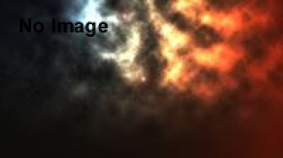 加納光於 色身（ルゥーパ）―未だ視ぬ波頭よ 2013