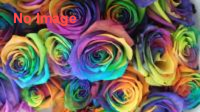 体験型ストーリーイベント -The Secret Game スパイスルームへようこそ-