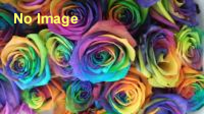 香水瓶の世紀 -バカラとルネ・ラリックを中心に-