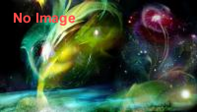 輪島市民まつり　市民大花火大会