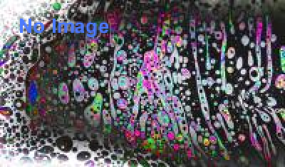 Tribute to Hieronymus Bosch in Congo (2011-2013)