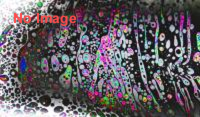 蜷川実花　写真展「TOKYO INNOCENCE」