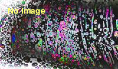 みうらじゅんスライドショー2014 BEST OF SLID