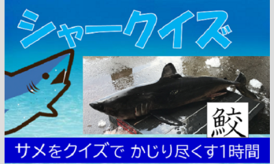 シャークイズ　鮫とクイズの1時間
