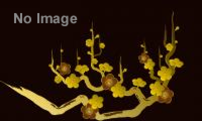 忍法帖　～真田幸村・最後の灯（ともしび）～