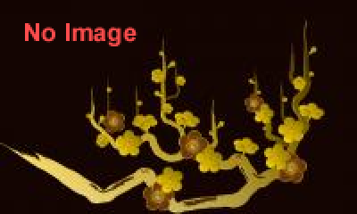 企画展示　装いの美　－大名のおしゃれ－