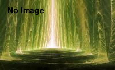 Art Rink in 横浜赤レンガ倉庫　「会話がはじまる氷のせかい」