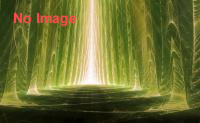 TOKYO JOYPOLIS PERSONA Quest 