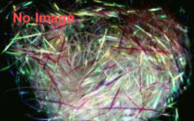 ラッピングペーパー展 for バレンタインデー