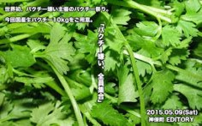 【中止】恐怖の10kg生パクチー！パクチーフェス「パクチー嫌い、全員集合」