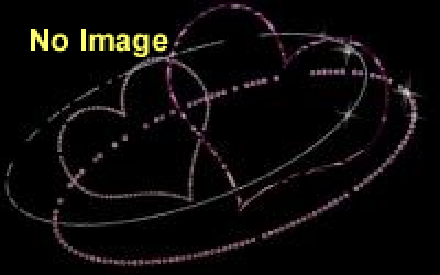 自称探偵ジェリーのミステリー合コン 〜100万円の猫はどこへ？〜 