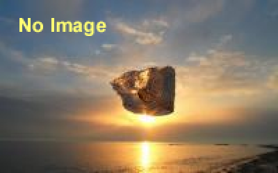 サマースカイフェスタ2014