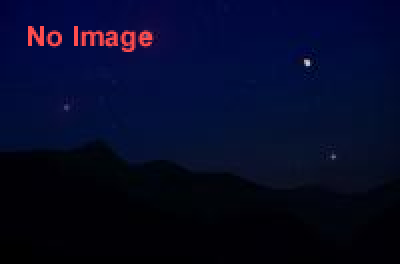 豊後大野・小松明火祭り