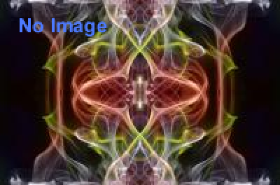 ジャパン アミューズメント エキスポ 2014（一般公開） 