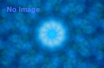 水族企画展示「水中の忍者たち ～滋賀の水生昆虫～」 