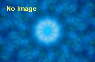 会田誠展　 世界遺産への道!!　会いにいけるアーティストAMK48歳