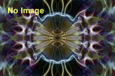 吉田ユニ展 「IMAGINATOMY」