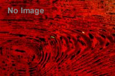 都築響一 独居老人スタイル 展（前期・後期） 