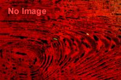 妖しのインテリア　2014