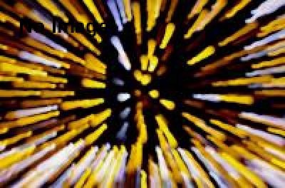 第6回 恵比寿映像祭　