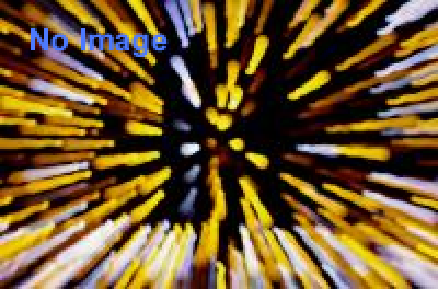 特別展「時代が求めた！1970デザイン展　～アイビーからスペースエイジまで～」