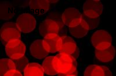 死刑囚絵画展2005年～2014年　大道寺幸子基金の10年