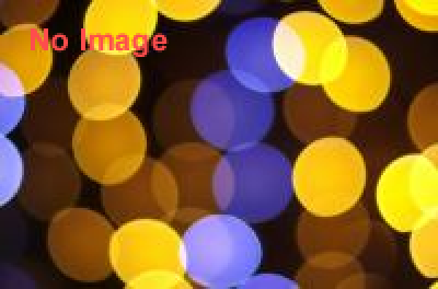 秋のスペシャルイベント　One Night Illusion