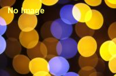 新春特集陳列　さるづくし―干支を愛でる─