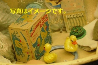 アヒルレース（Tübingen Duck Race）2014：ドイツ