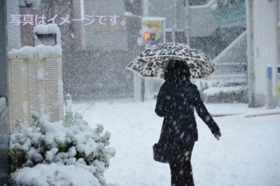 Els Enfarinats（小麦粉まみれ）：スペイン