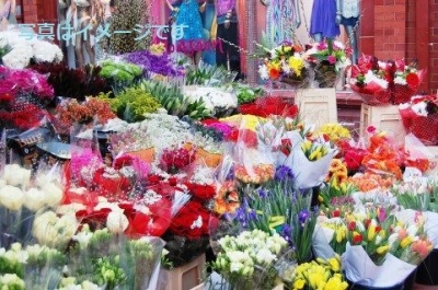 ピラール祭（FIESTAS DEL PILAR）：スペイン