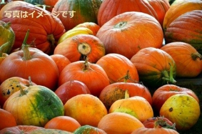 ユッカーファーム　パンプキンバトル（Jucker Farmart Pumpkin Battle）：スイス 