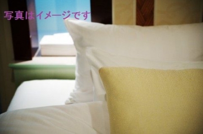 世界枕バトル選手権大会（World Pillow Fight Championships）2014：アメリカ