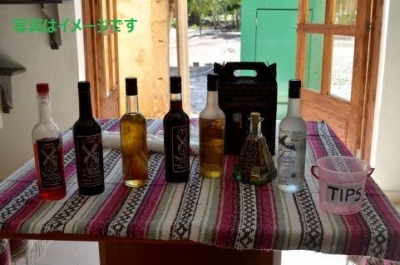 テキーラ・エキスポ（Expo Tequila Tijuana 2014）：メキシコ