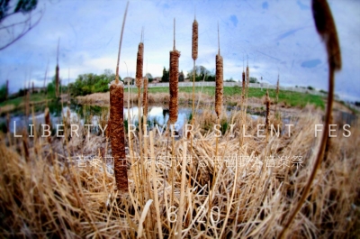 サイレントフェス「Liberty River Silent  Fes」