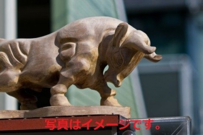 パンプローナ　サン・フェルミン祭（牛追い祭り）