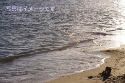 第2回 ダナンサンドキャッスルコンテスト：ベトナム