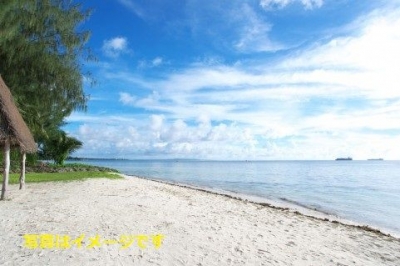 パシフィカ・フェスティバル（Pasifika Festival）2014：ニュージーランド