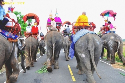 第8回　フエ・フェスティバル2014（Festival Hue2014）：ベトナム