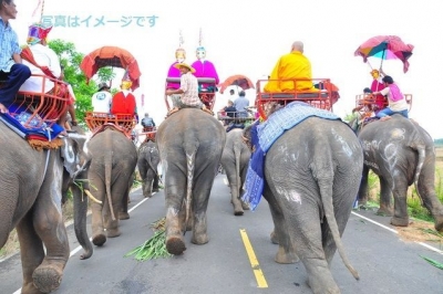 キャンディ・ペラヘラ祭り(Esala Perahera)：スリランカ