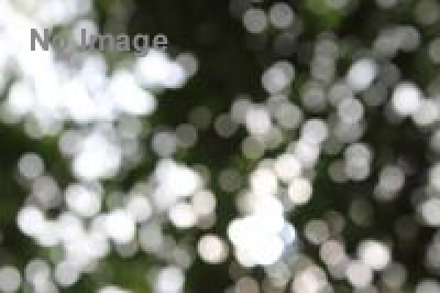 ねぶくろシネマ（川崎競馬場）