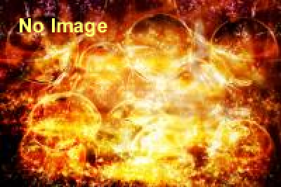 若宮八幡秋季大祭・裸祭り 