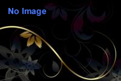 アヴェス・ヤポニカエ2――紙に描いた標本