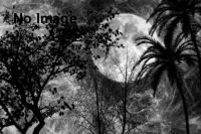 おばけ教室3 ～としまアート夏まつり2015～ 