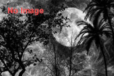 キ号 冒険学校！「あの日見た廃墟の名前を、僕はまだ知らない。」