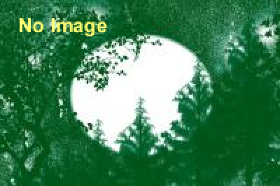 名和晃平展 「SCULPTURE GARDEN（スカルプチャー ガーデン）」