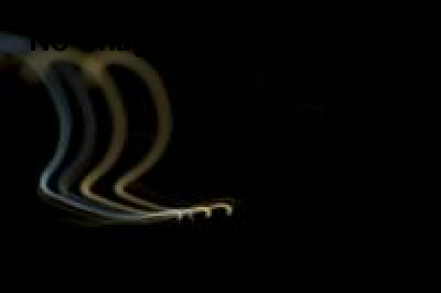 妖 個展「夢蝕の標本部屋」